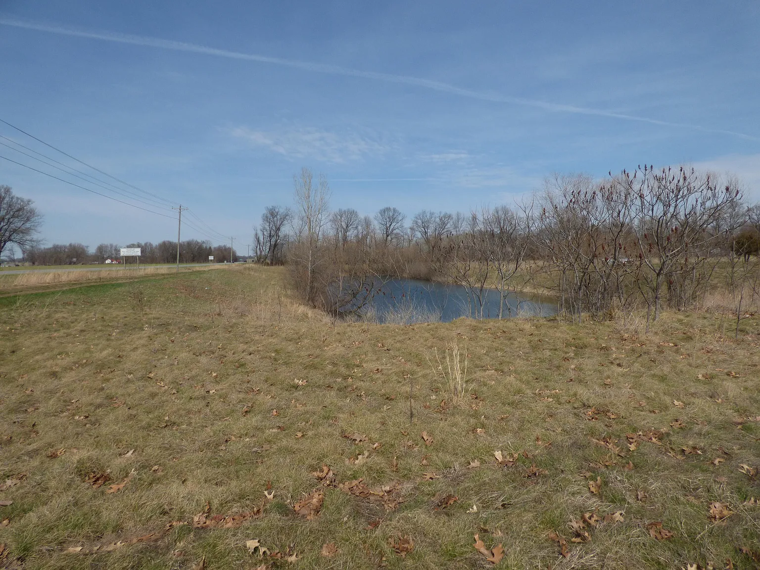 Crussmeyer Dr photo 1