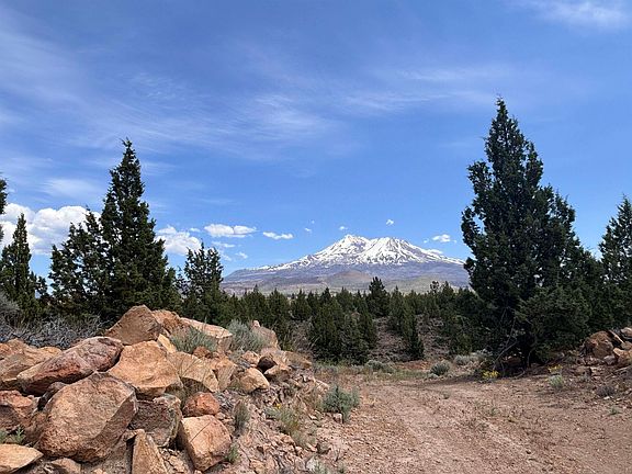 2nd image of 2-14 Trinity Trail Pl
