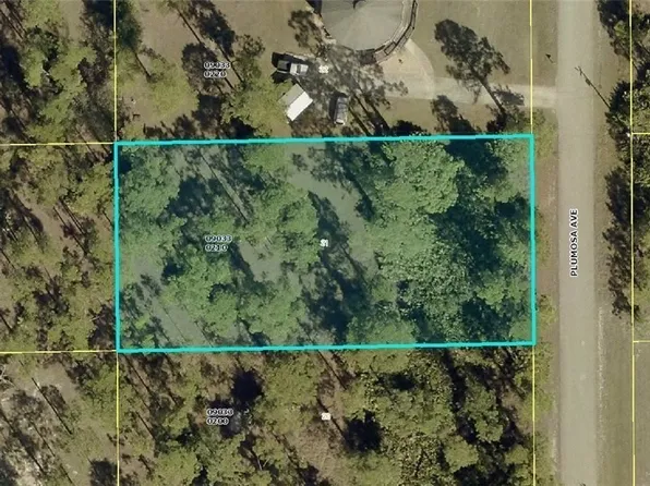 1017 Plumosa Ave, Lehigh Acres, FL 33972