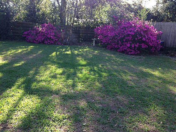 Back yard