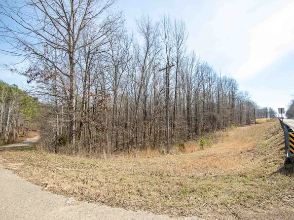 1 Slate Rock Dr, Counce, TN 38326