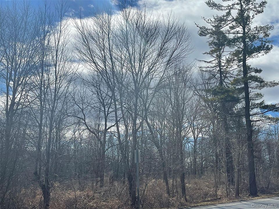 2nd image of Noxon Rd