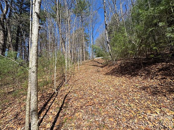 5th image of 1 Bear Log Rd