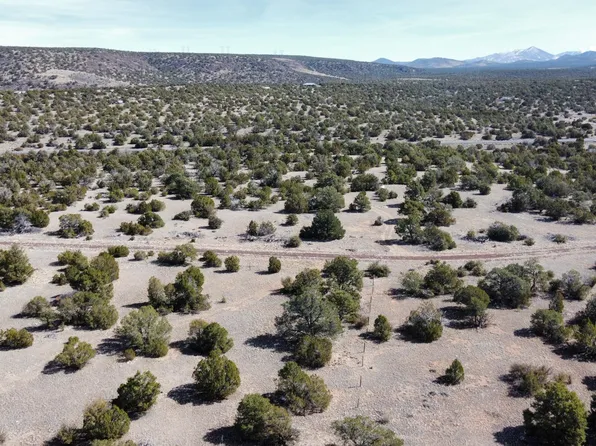 13537 Bly Station Rd #B, Williams, AZ 86046