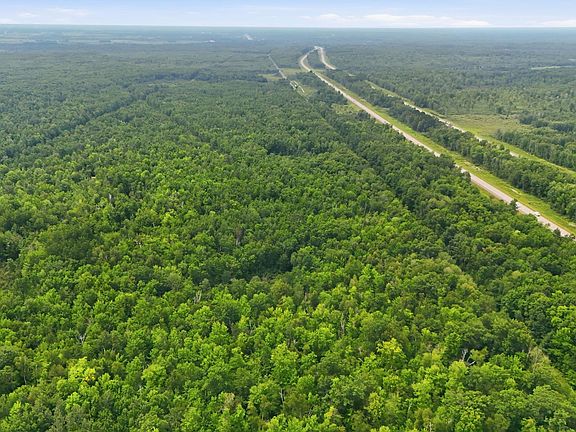 2nd image of Taylor Birch Rd