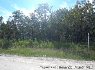 11342 Mississippi Kite Ave, Weeki Wachee, FL 34614