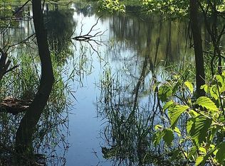 6275 Chase Lake Rd, Fowlerville, MI 48836