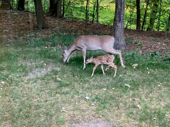 3761 Cooper Rd, Honor, MI 49640