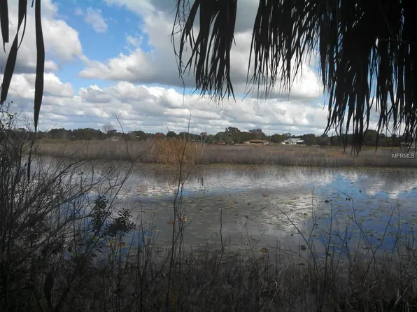 6323 Clearwater Dr, Spring Hill, FL 34606