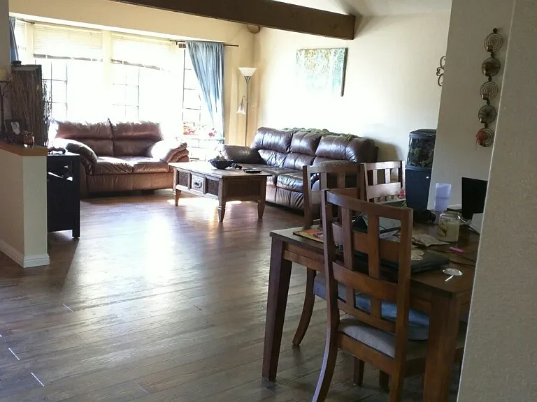 Living/Dining Room