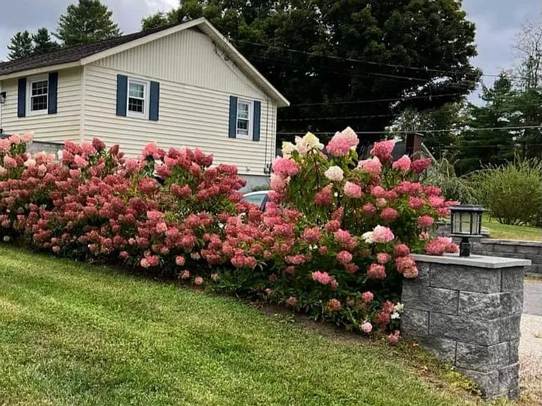 Debra Ave — Photo 28