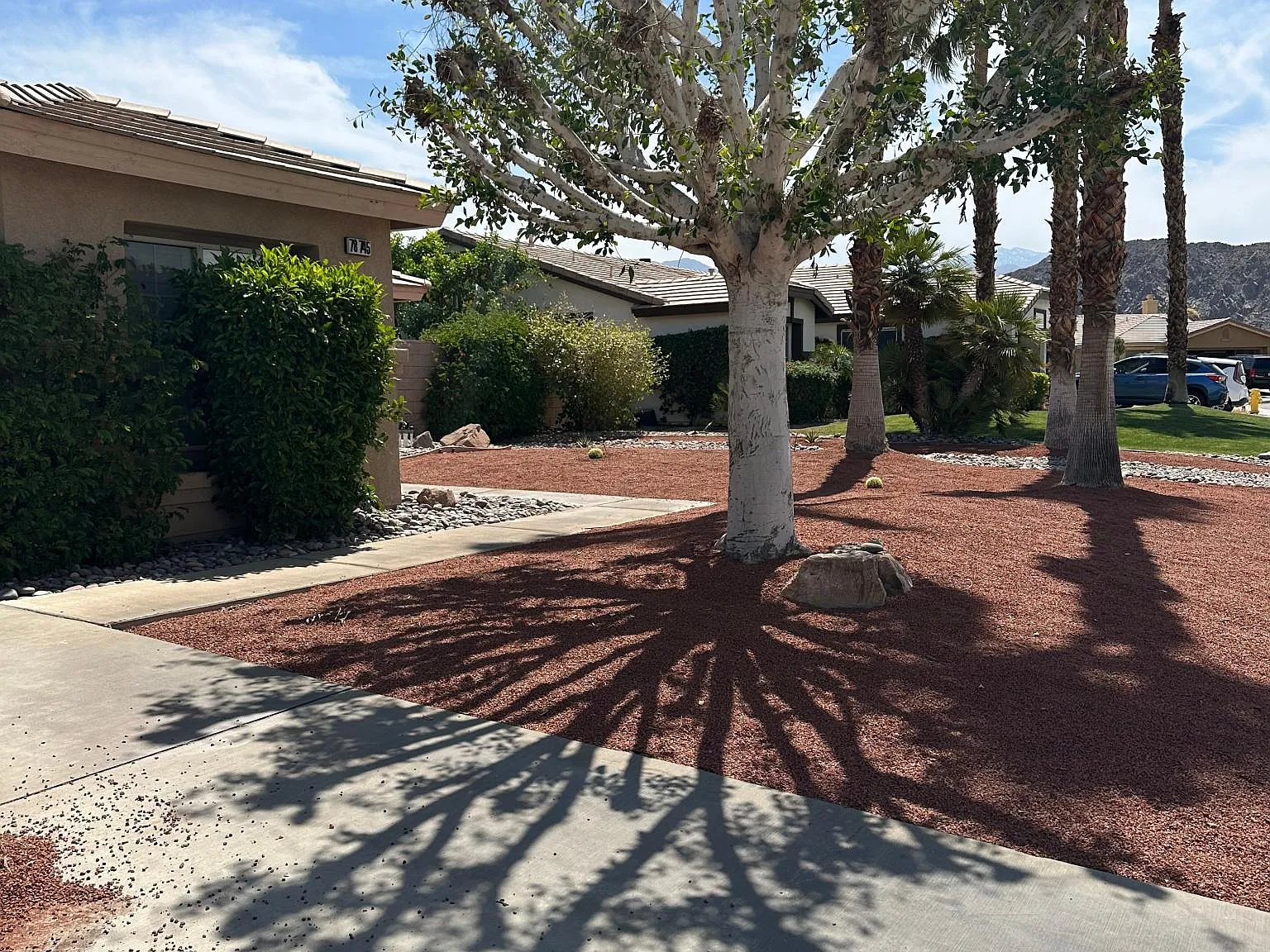 4 bed, 1800 sqft, $3,500 — Photo 2