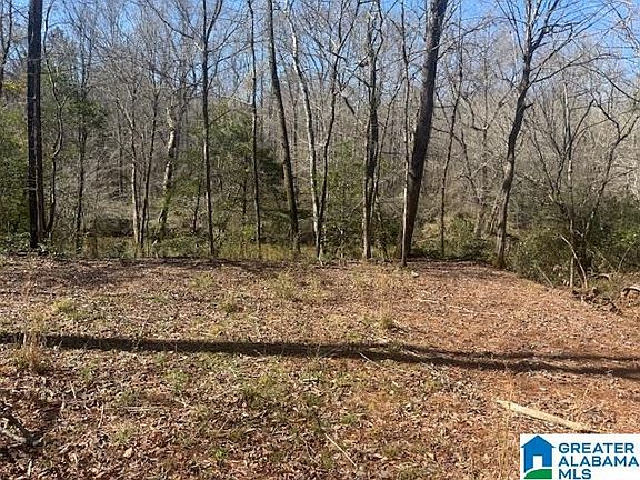 4th image of Pate Rd Lot 7
