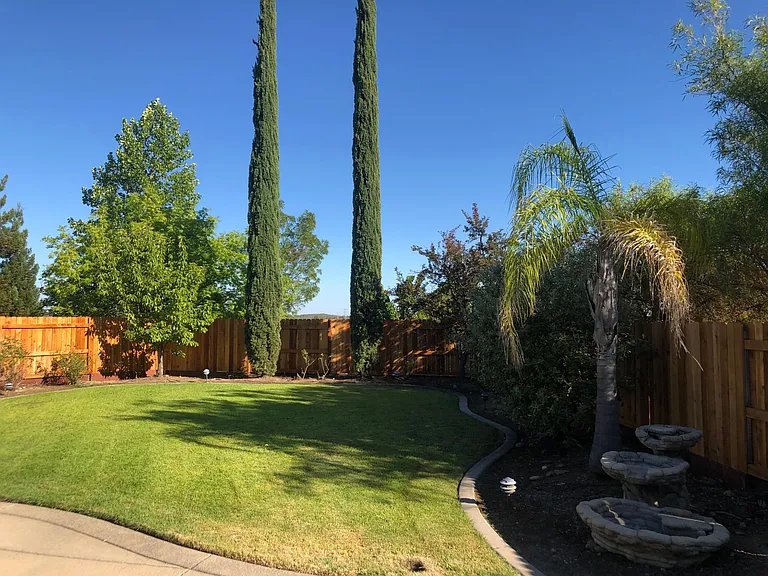 View of backyard