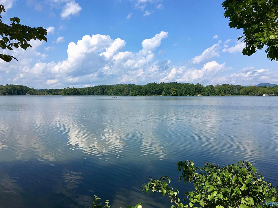 1166 County Road 251, Cedar Bluff, AL 35959 MLS 1841058 Zillow