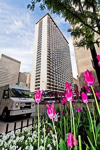 1st image of 535 N Michigan Ave APT 2206