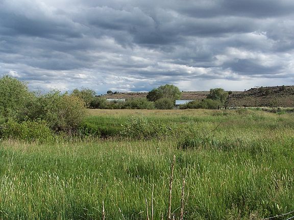 Sub-irrigated native meadows