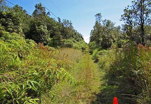 Looking up Malia Aina Rd from right corner.