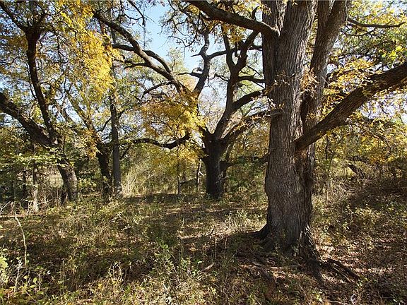 2nd image of LOT 6 County Road 224