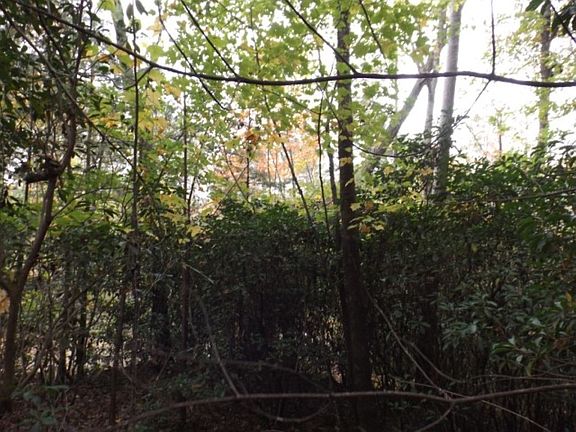 4th image of 116 Fireside Ln