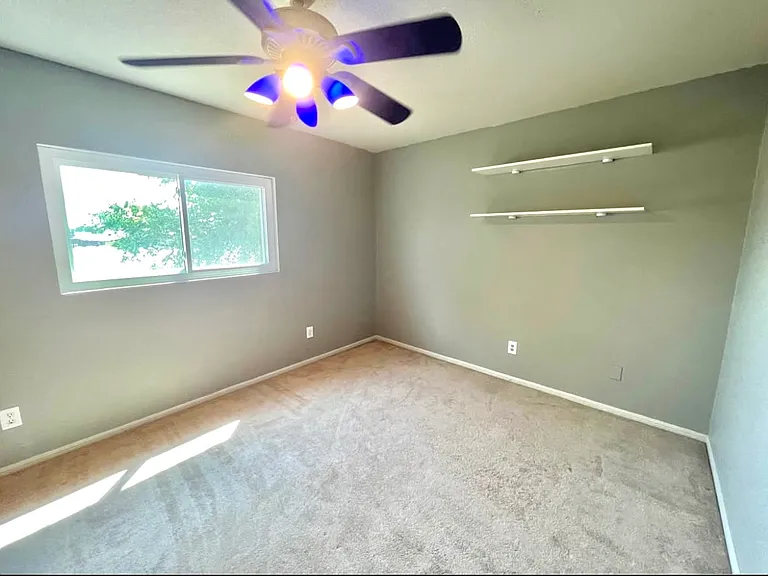 2702 Verbena Loop — Photo 22