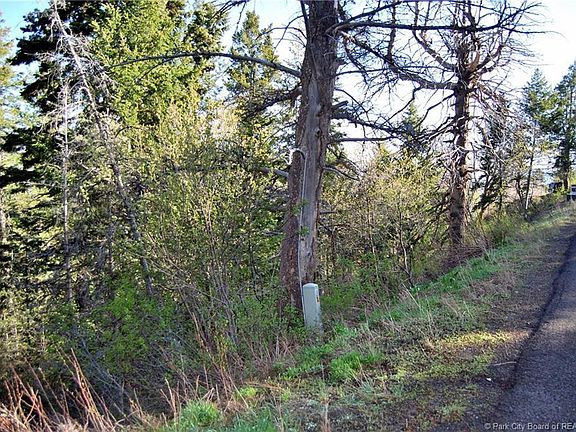 4th image of 245 Matterhorn Dr #Su-m-38