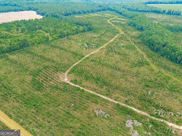0 Powell School Rd N Tract 1, Lumber City, GA 31549