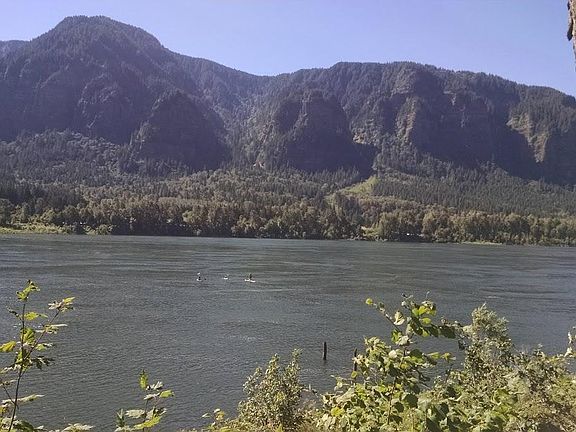 The view.
