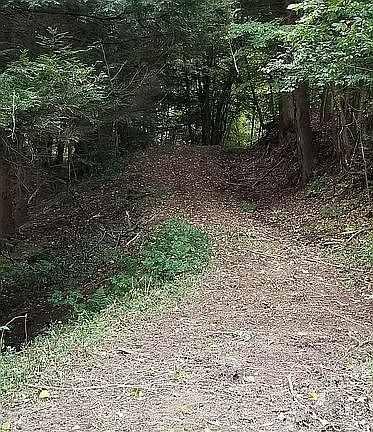 Trails for horseback riding