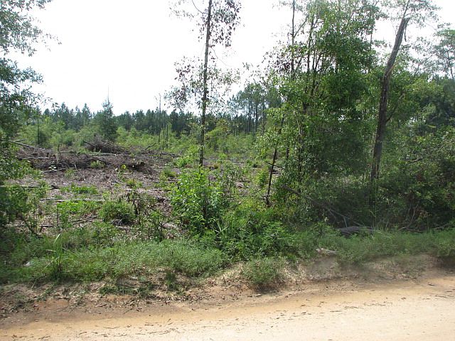 1st image of 1769 Delta Ln