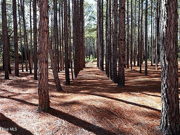 3rd image of Stuarts Mill Rd Lot 9