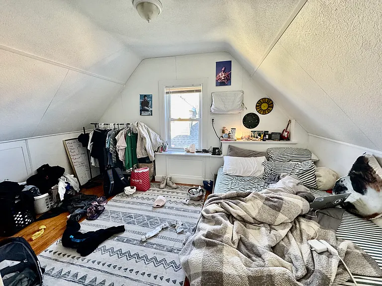 8 Trafford St #2 — Photo 9