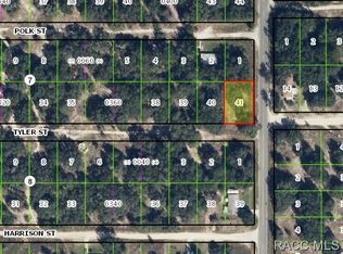 2714 Tyler St W, Inverness, FL 34453