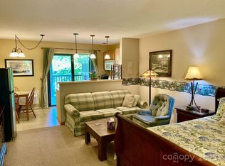 160 Whitney Blvd #55, Lake Lure, NC 28746