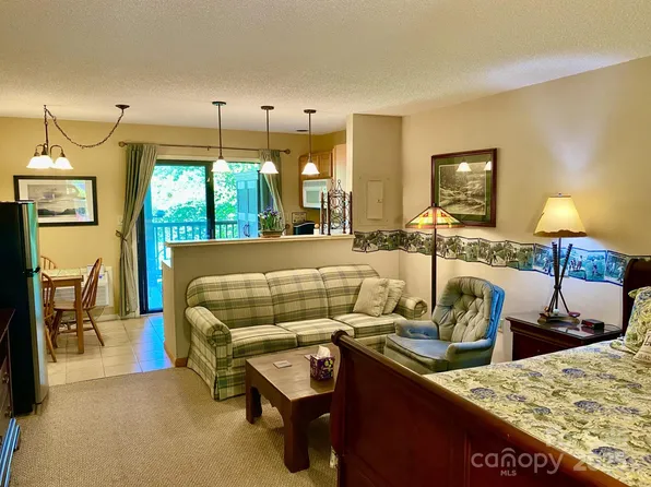 160 Whitney Blvd #55, Lake Lure, NC 28746