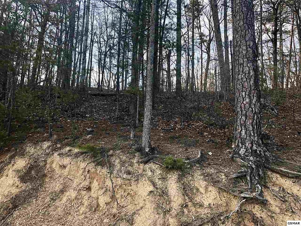 1st image of 36 & 37 Settlers View Ln