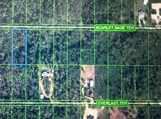 1969 Scarlet Sage Ter, Sebring, FL 33875