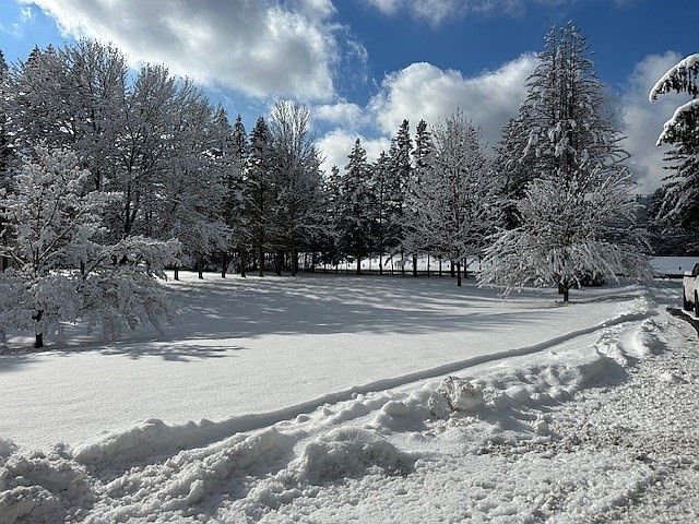 1st image of 61 Fuller Rd