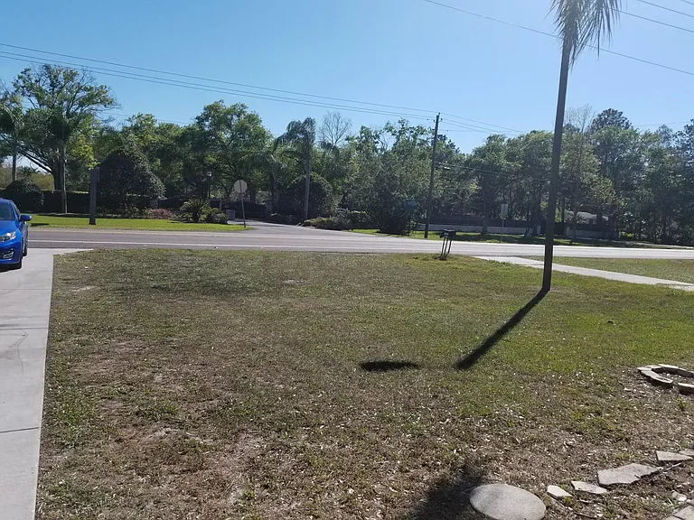 3209 W Lutz Lake Fern Rd — Photo 29