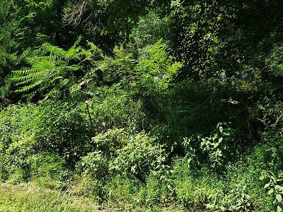 4th image of 321 Dryden Ln