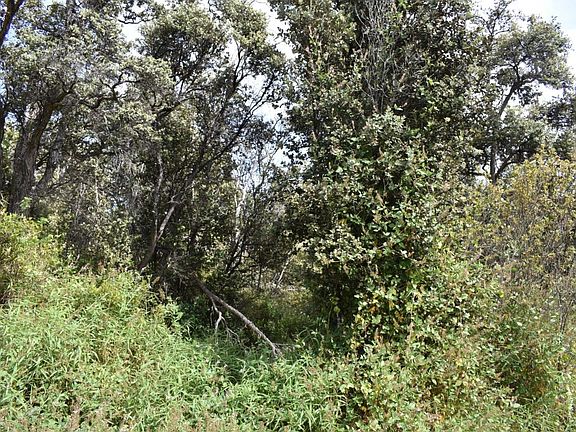 2nd image of 92-8532 Reef Pkwy Lot 23