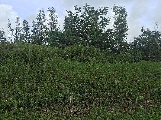 5th image of Jewel Dr Lot 65