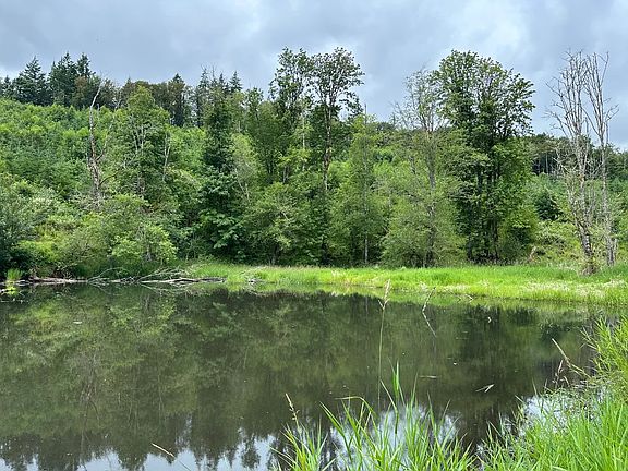 2nd image of 0 Goble Rd