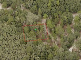 Norwood Ave, Orange City, FL 32763