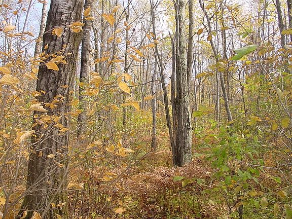 2nd image of 10 Acres on Bridge Lane