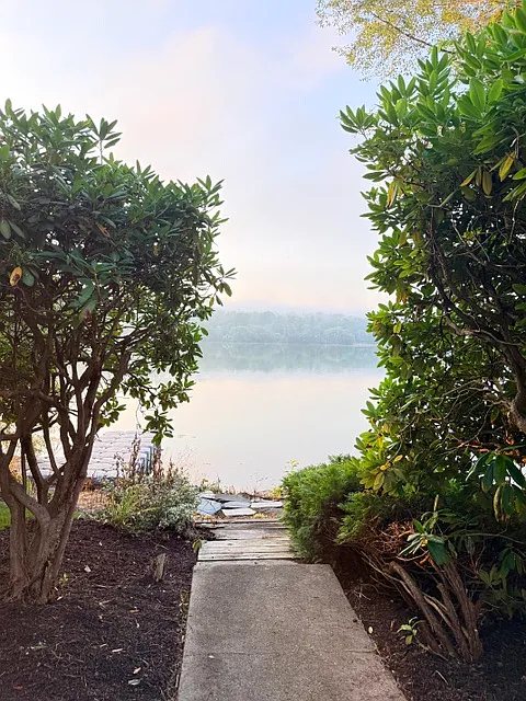 3 bed, 1096 sqft, $5,000 — Photo 2