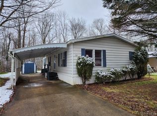 59 Beechwood Blvd, Albion, NY 14411