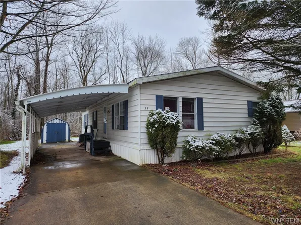 59 Beechwood Blvd, Albion, NY 14411
