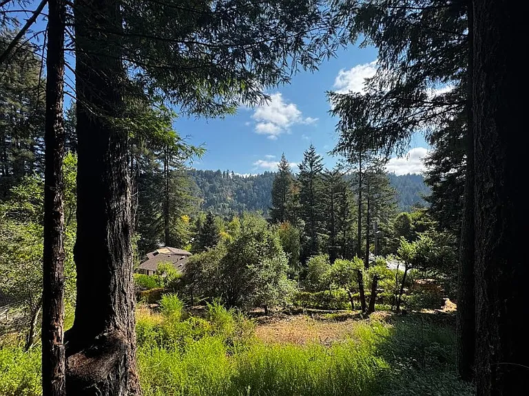 San Lorenzo Valley view from Master Bedroom deck