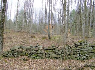 LOT 5 Salisbury Rd LOT 5, Westdale, NY 13483
